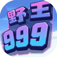 野王999-免广告-小白游戏